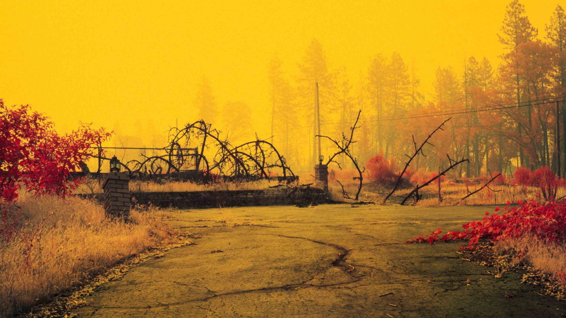 Yellow light falls on land and roads.